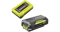 Ryobi RY36BC17A-120 36V Li-Ion Accu Starterset - 2.0Ah
