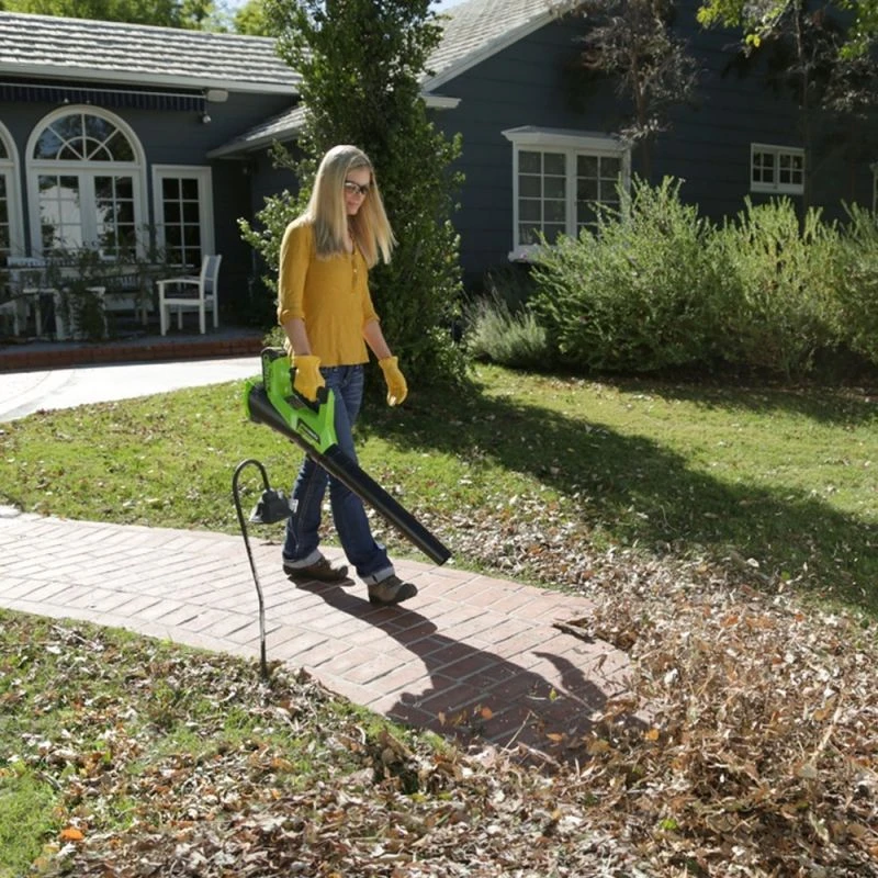 Greenworks G40AB 40V Li-Ion Accu Bladblazer Body - 177km/h 2 Greenworks G40AB 40V Li-Ion Accu Bladblazer Body - 177km/h - Afbeelding 2