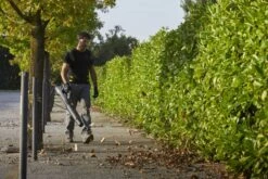 Stiga BL 980 R Benzine Bladblazer - 75,6cc - 2-takt - 100m/s - 25m³/min - 3,1kW 25 Stiga BL 980 R Benzine Bladblazer - 75,6cc - 2-takt - 100m/s - 25m³/min - 3,1kW -Pro Gereedschap Verkoop af36fc04125bf7fe96c90a2a0b5ef8f3